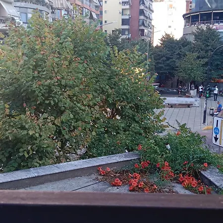 Arti House At Selvia *